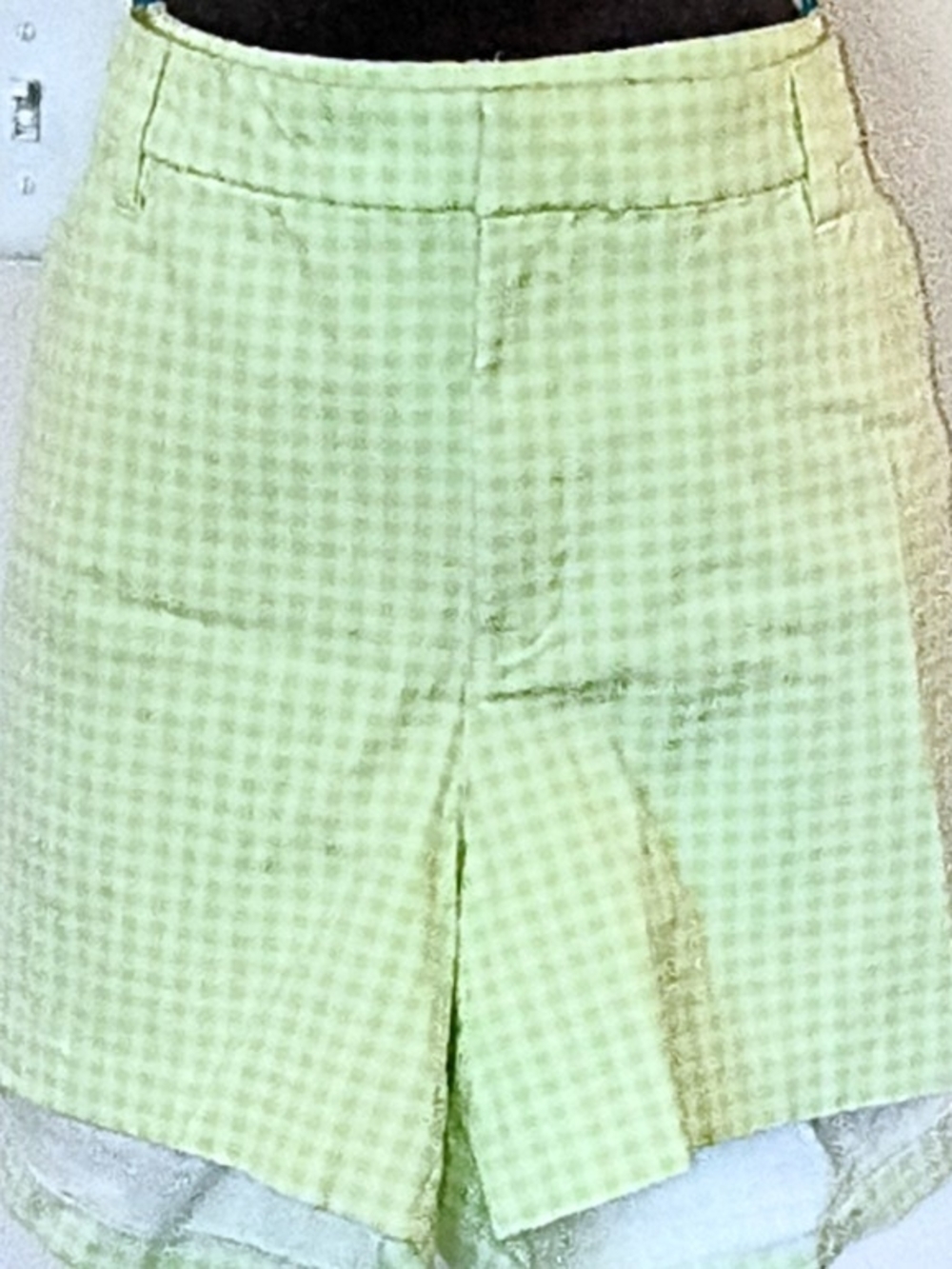 Old Navy Light Green Gingham Front Zip Shorts Size 22